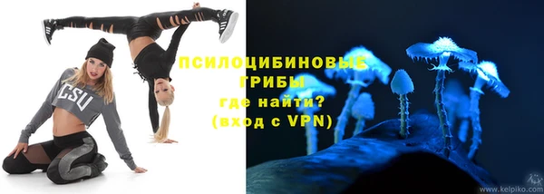 прущие крисы Зеленокумск