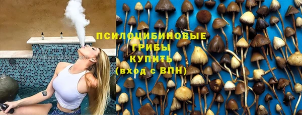 прущие крисы Зеленокумск