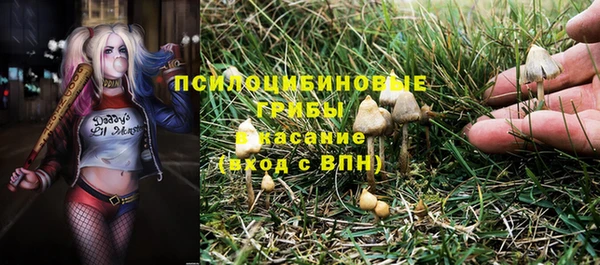 соль курить ск Зерноград